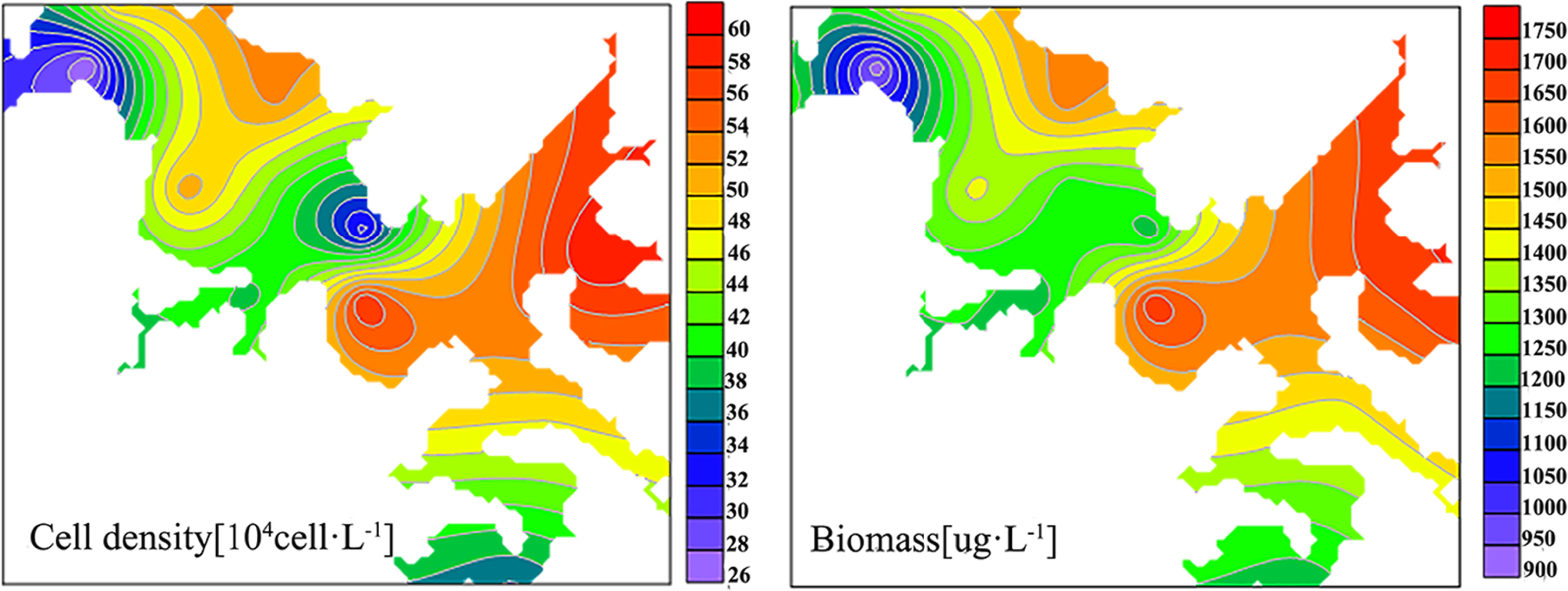 Phytoplankton diversity and water quality bioassessment in typical ...