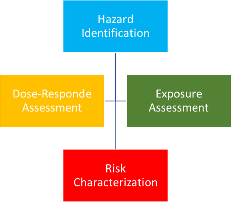 Health and environmental risk due to acid mine drainage generating ...