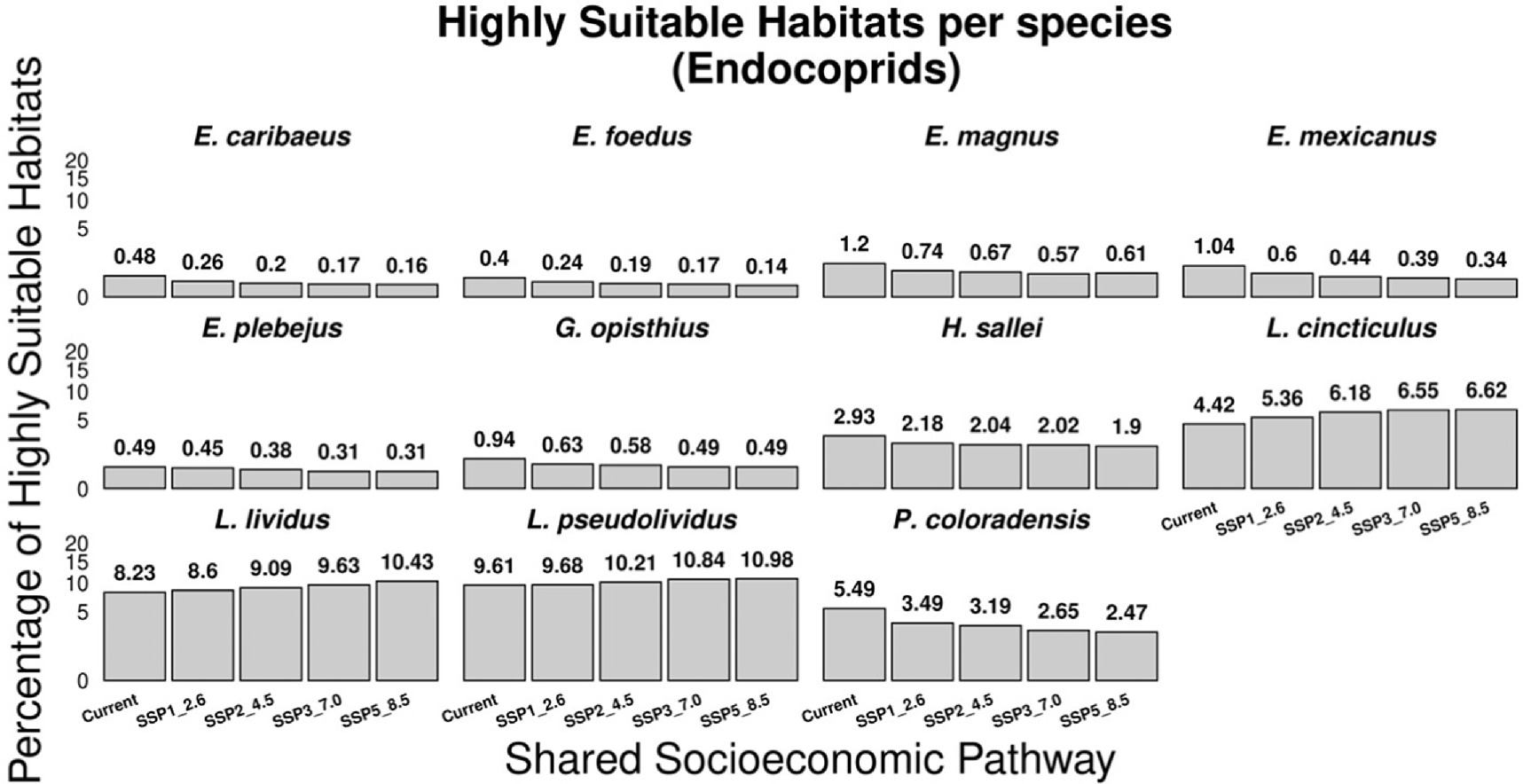 Cincticulus Modeling the spatial distribution of dung beetles under climate change ...