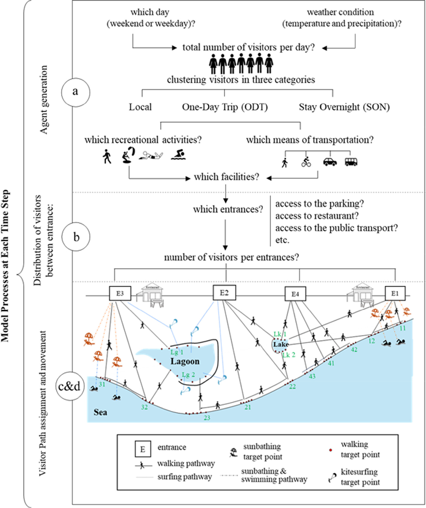 Agent-based modelling of beach visitation patterns: insights for ...