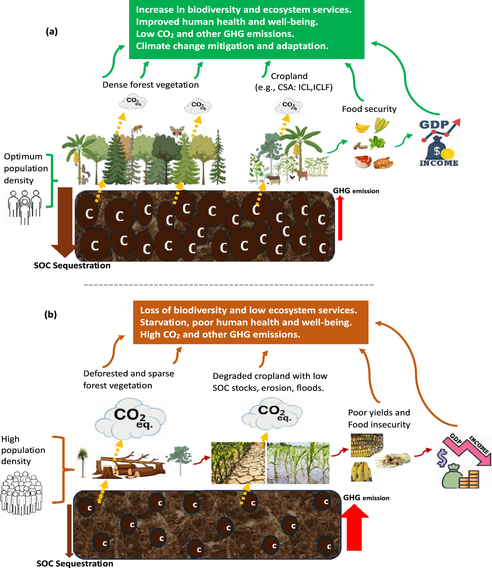Three-decades assessment of land use changes and soil carbon stocks in ...