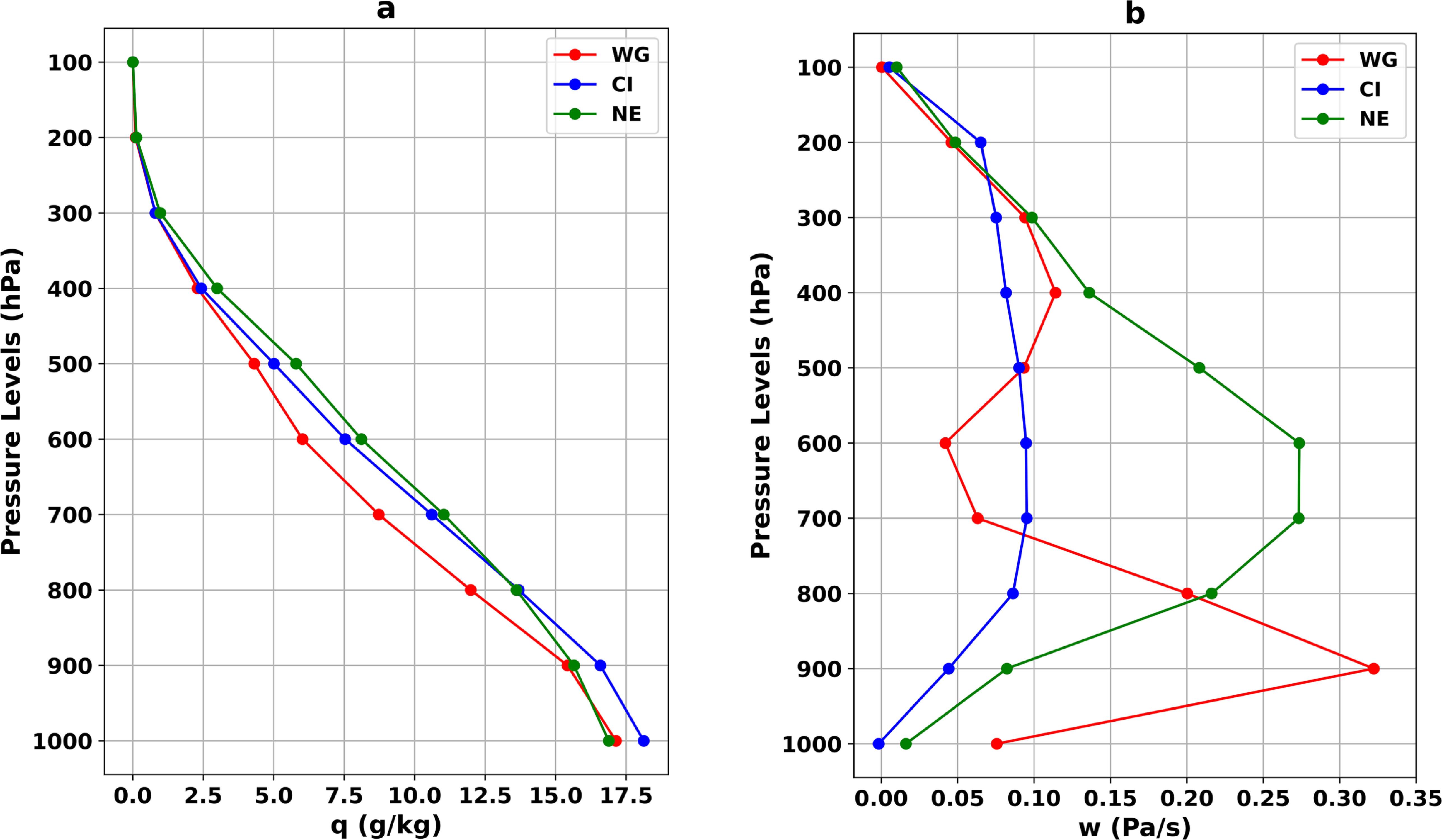 Spatial heterogeneity of cloud hydrometeors during extreme monsoon ...