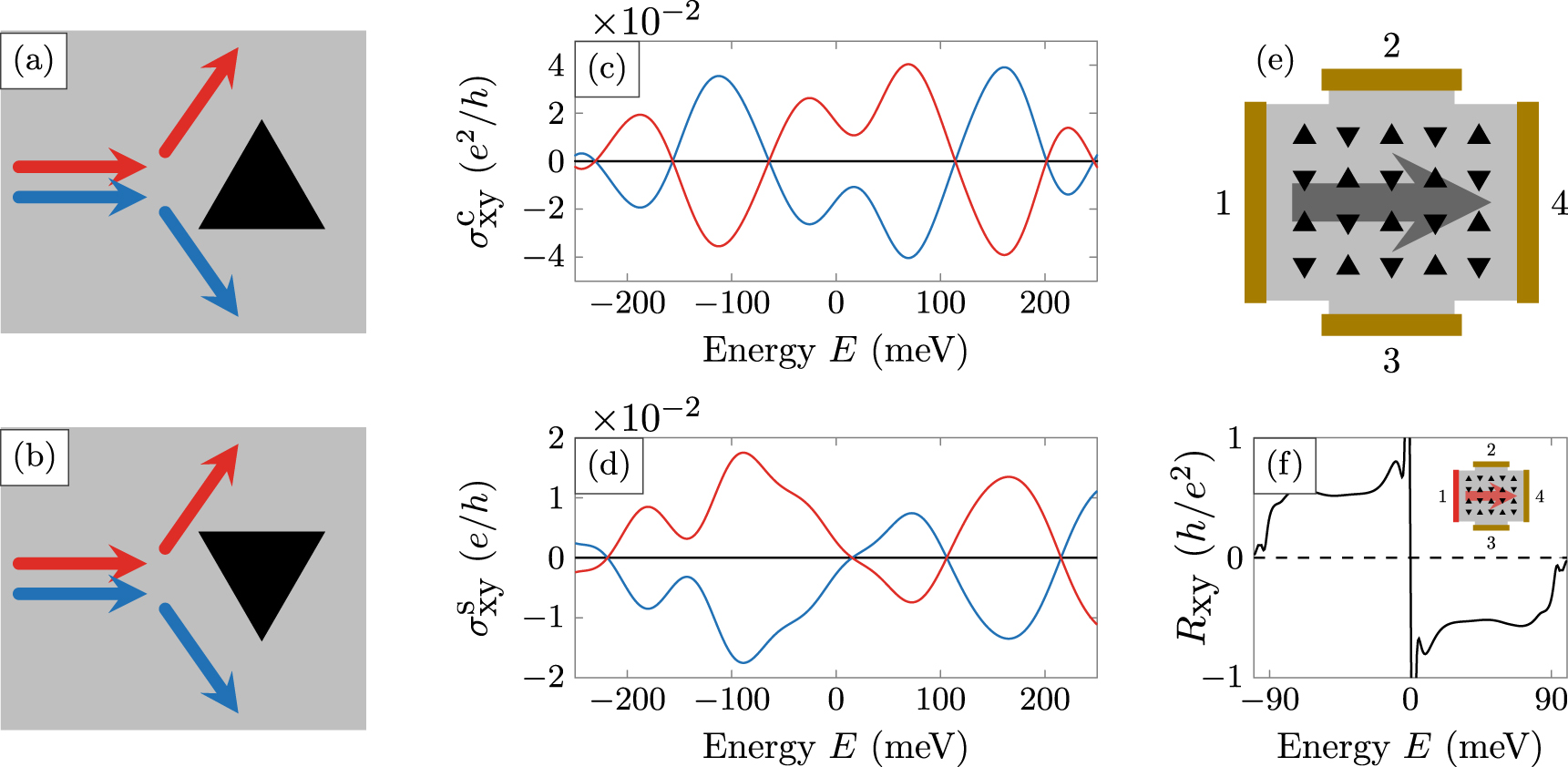 Charge and spin transport anisotropy in nanopatterned