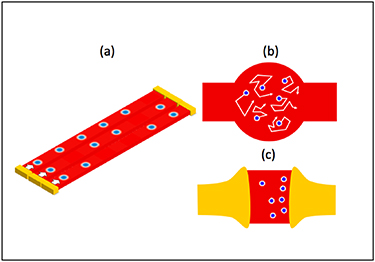 Figure 23. Refer to the following caption and surrounding text.