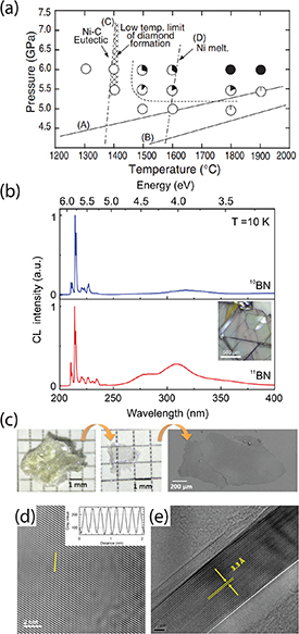 Turn of the decade: versatility of 2D hexagonal boron nitride - IOPscience