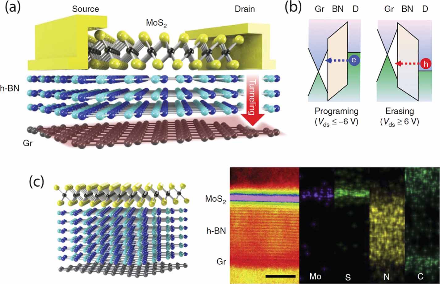 Turn of the decade: versatility of 2D hexagonal boron nitride - IOPscience