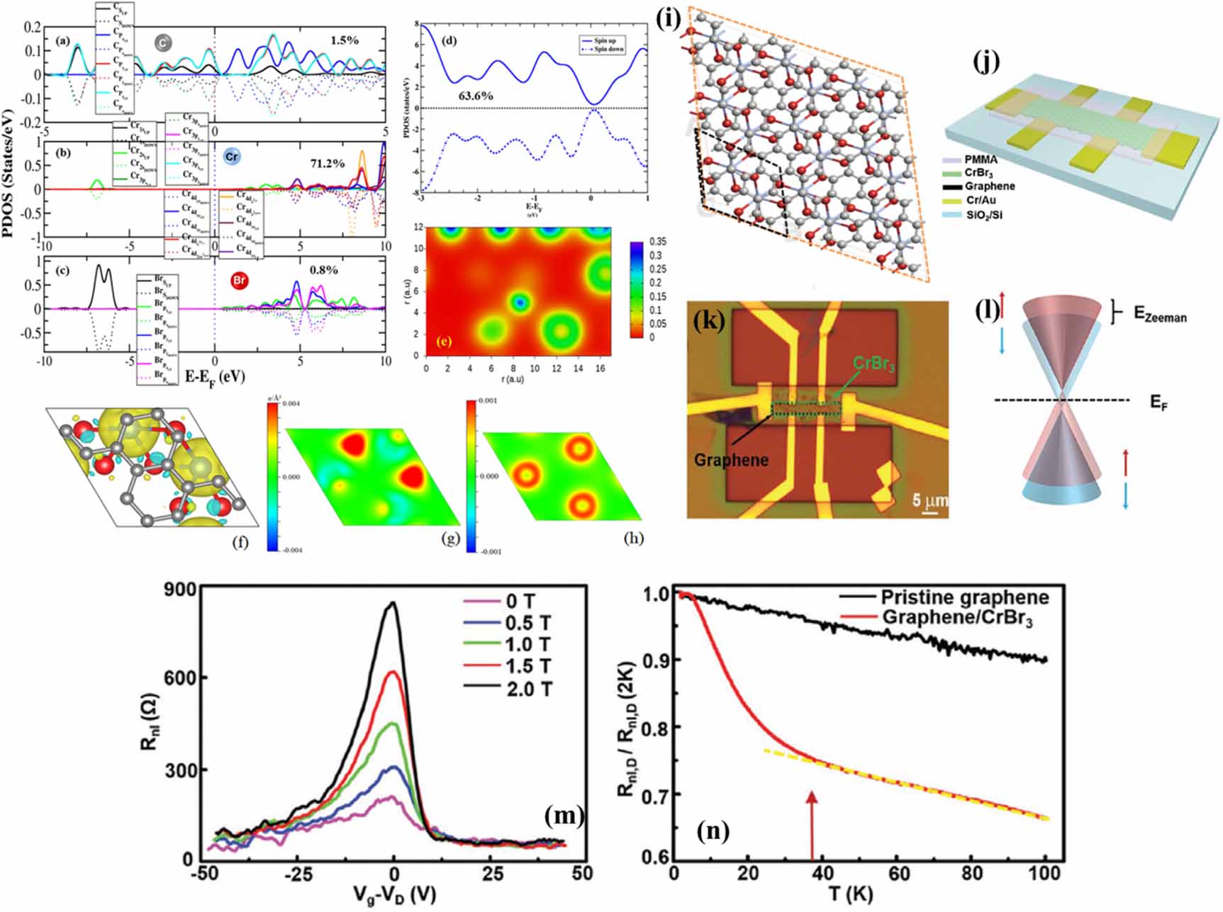 Magnetic proximity effect in two-dimensional van der Waals ...