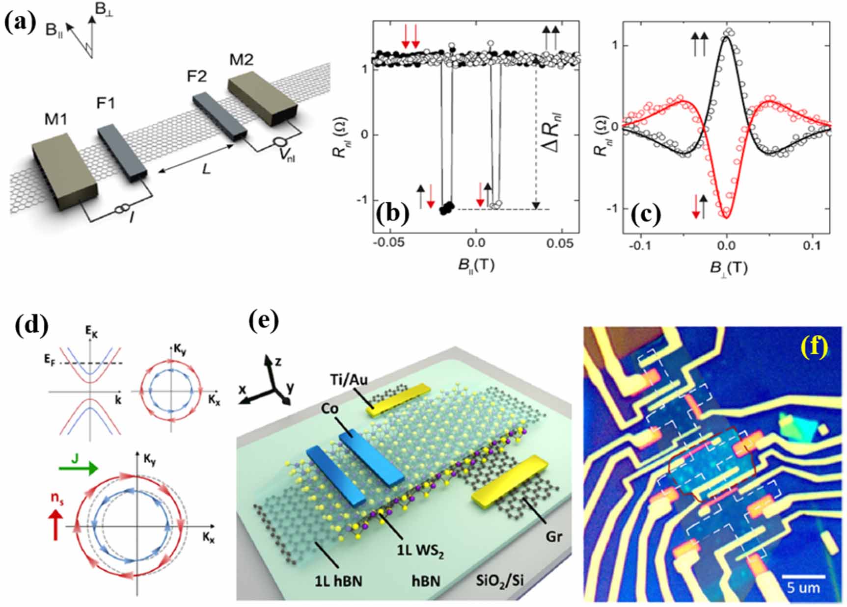Magnetic proximity effect in two-dimensional van der Waals ...