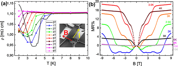 Magnetotransport as a probe for the interplay between Sm and Fe ...