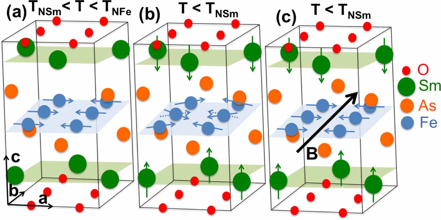 Magnetotransport as a probe for the interplay between Sm and Fe ...
