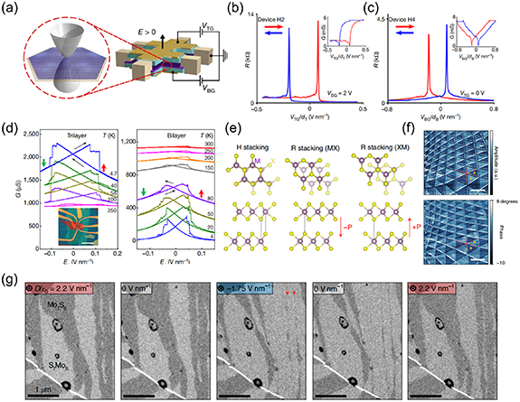 Advance in twisted transition metal dichalcogenides: synthesis ...