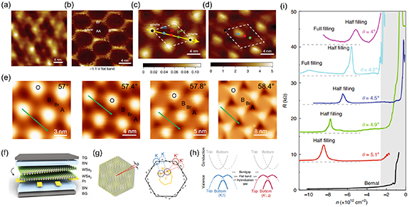 Advance in twisted transition metal dichalcogenides: synthesis ...