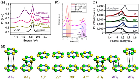 Advance in twisted transition metal dichalcogenides: synthesis ...