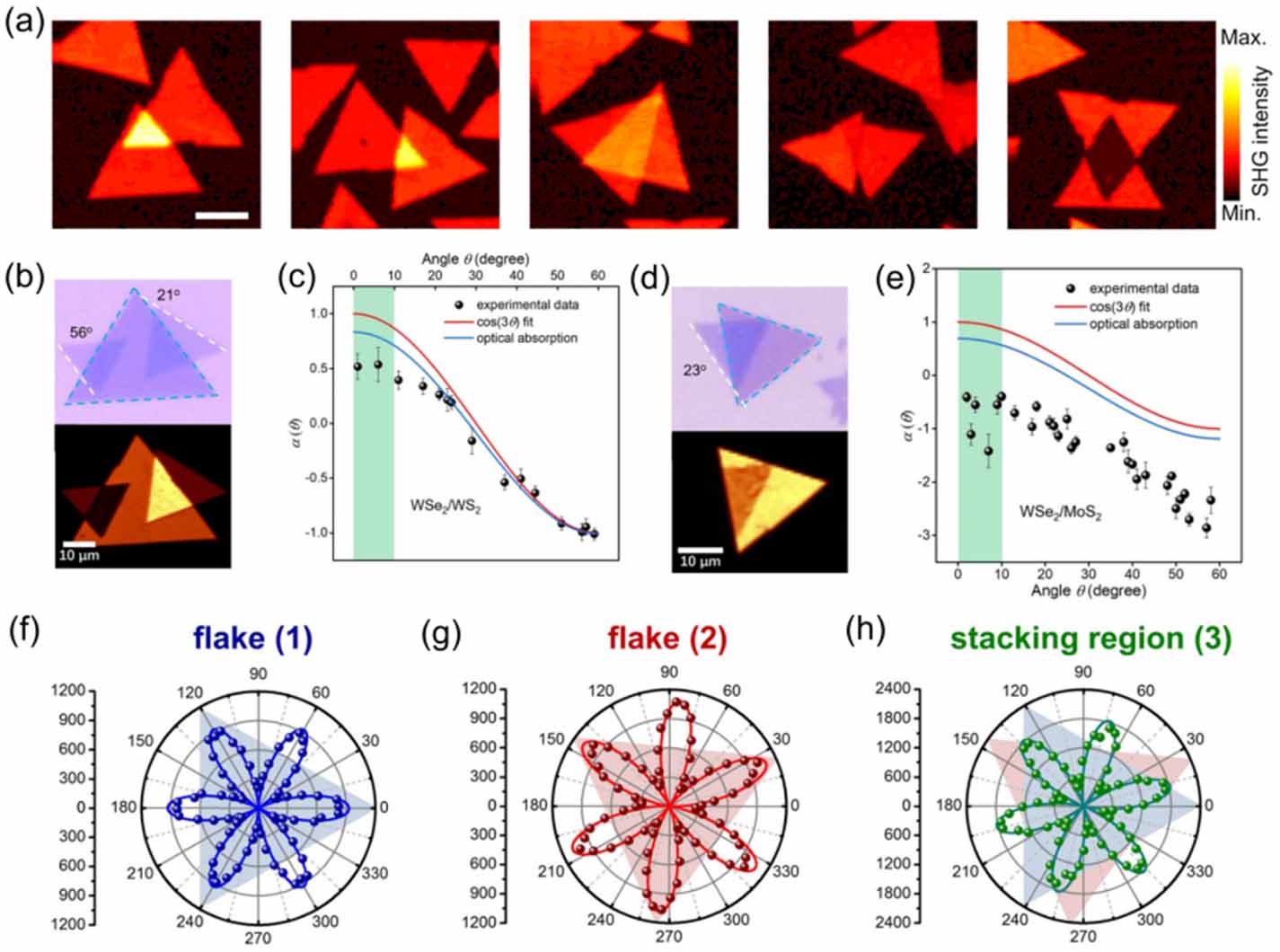 Advance in twisted transition metal dichalcogenides: synthesis ...