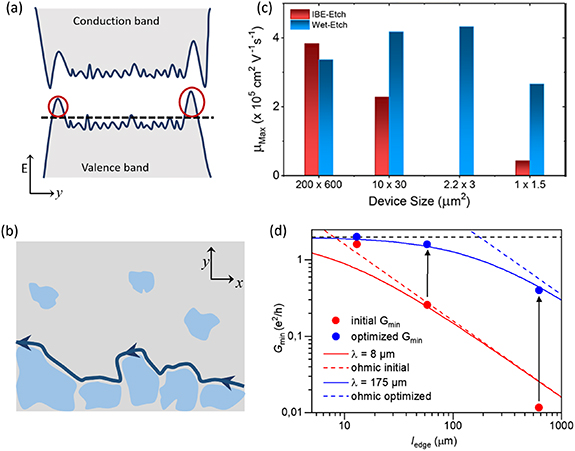 Figure 4. Refer to the following caption and surrounding text.
