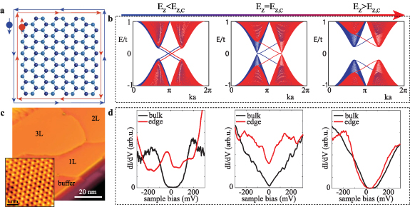 Figure 7. Refer to the following caption and surrounding text.