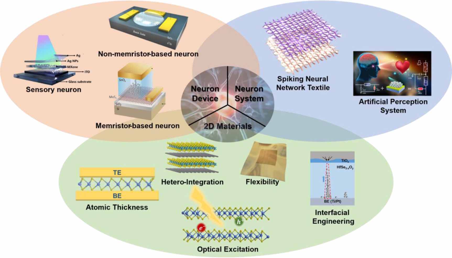 Emerging functions of two-dimensional materials in memristive neurons ...