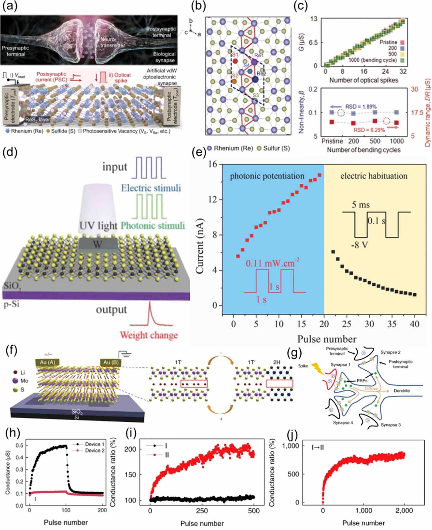 In-sensor neuromorphic computing using perovskites and transition metal ...