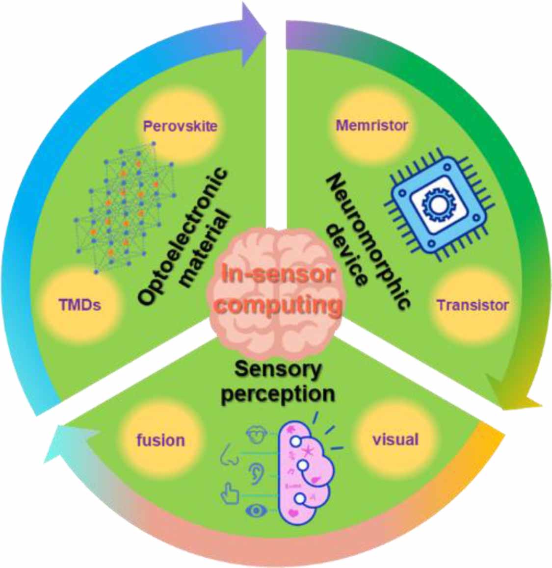 Insensor neuromorphic computing using perovskites and transition metal