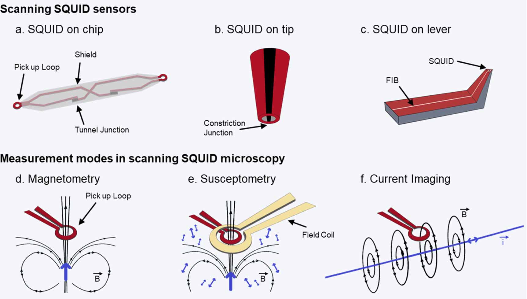 Squid Loop 2024 roadmap on magnetic microscopy techniques and their applications ...