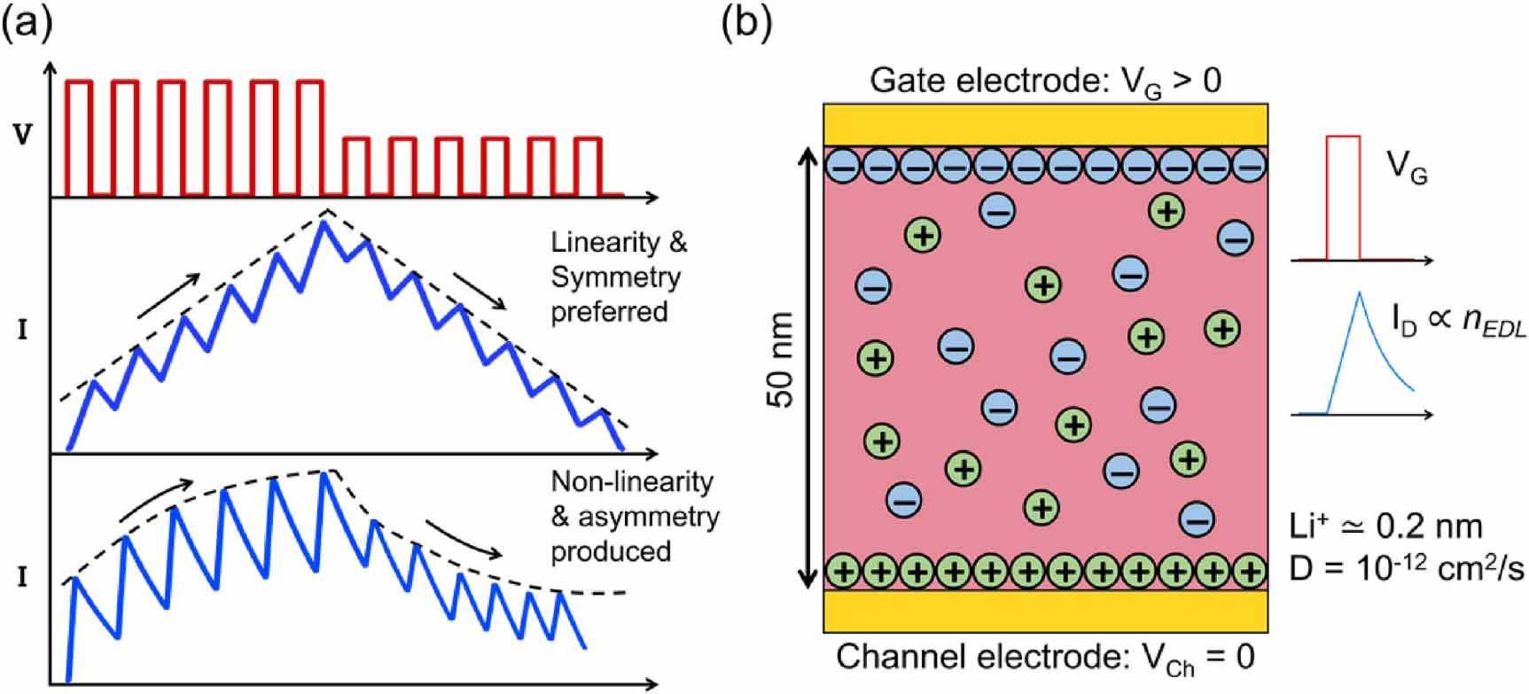 Realizing linear synaptic plasticity in electric double layer-gated ...