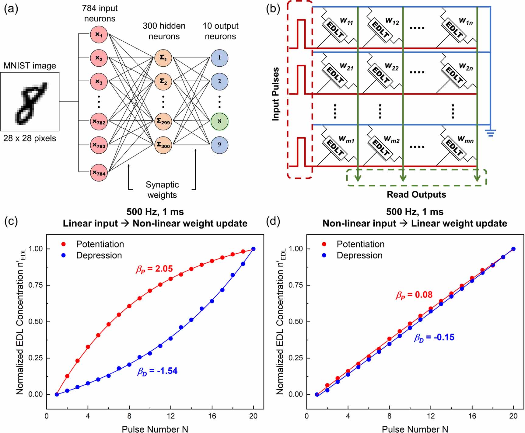 Realizing linear synaptic plasticity in electric double layer-gated ...