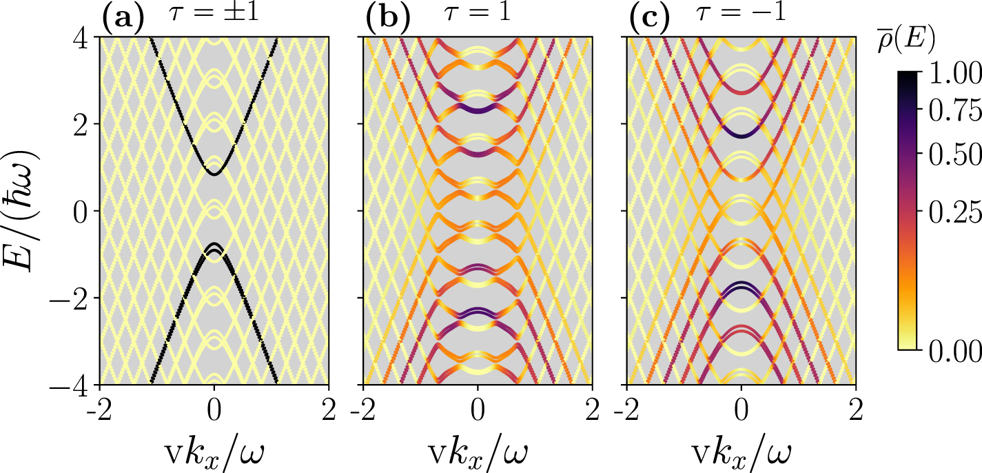 Time-dependent dichroism and transient valley polarisation in monolayer ...