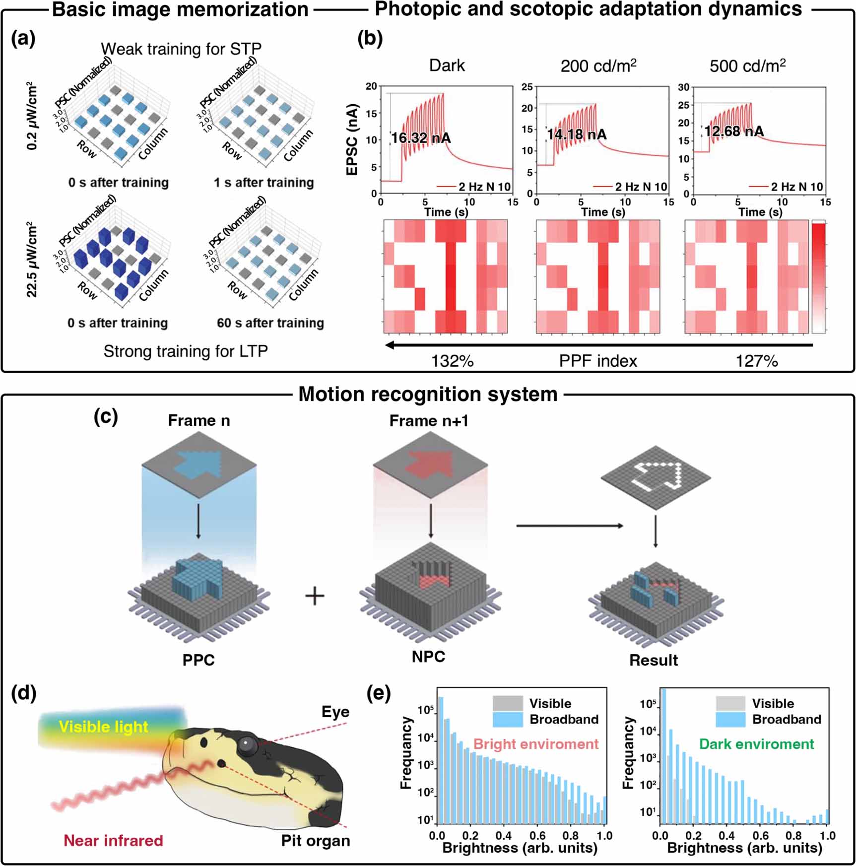 Near-infrared-detectable artificial synapses for advanced neuromorphic ...