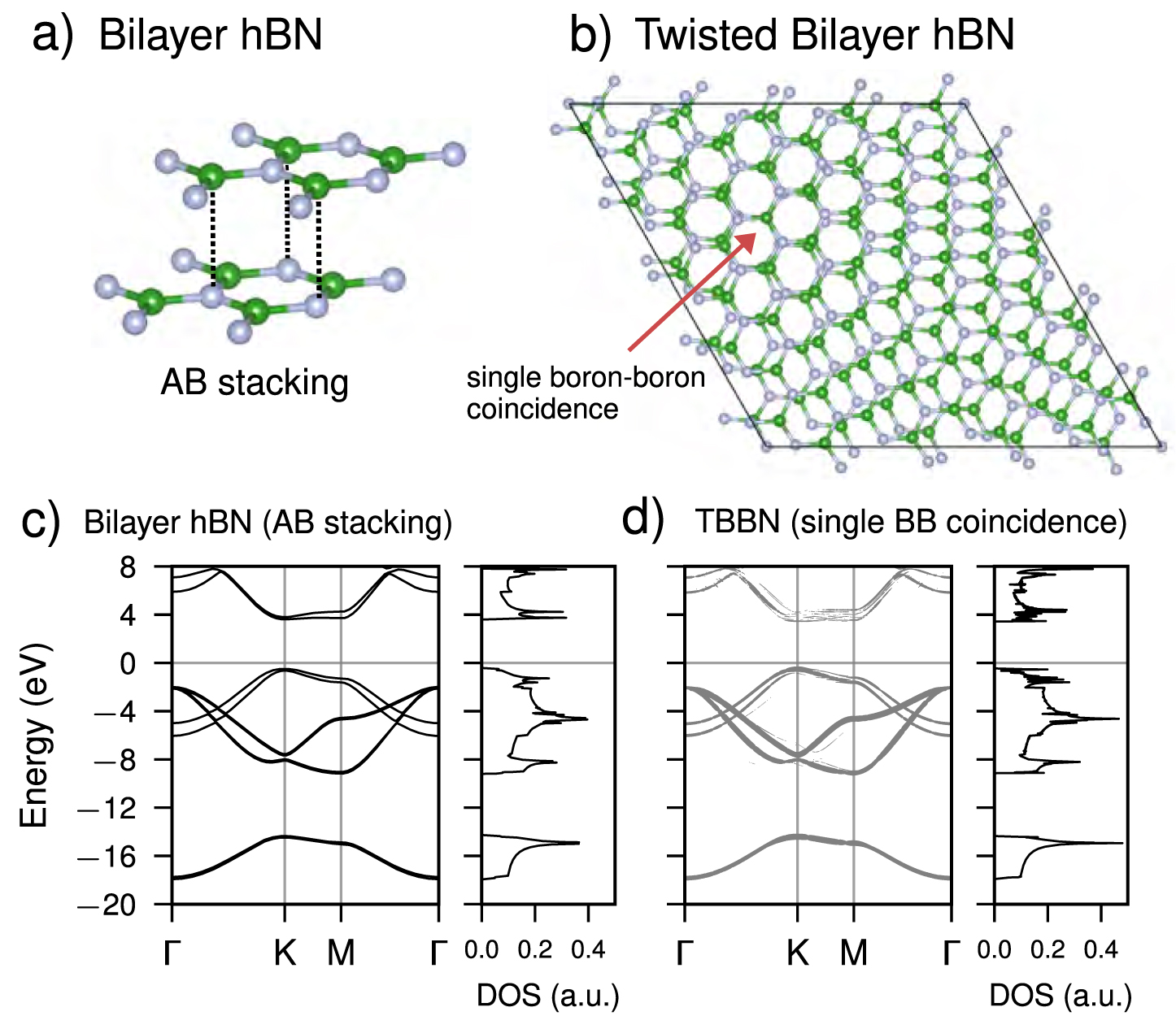 Magnetic phase emergence in doped-twisted bilayer boron nitride ...