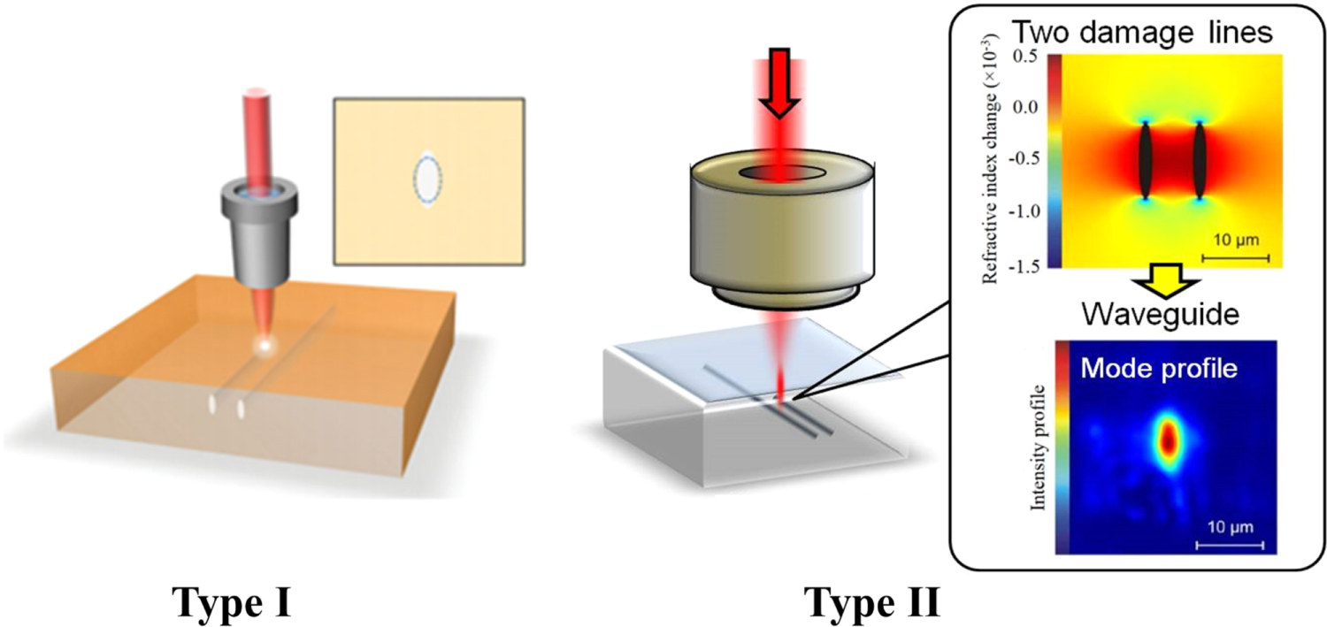Femtosecond laser written photonic and microfluidic circuits in diamond ...