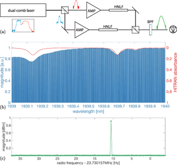 Dual-comb generation from a single laser source: principles and ...