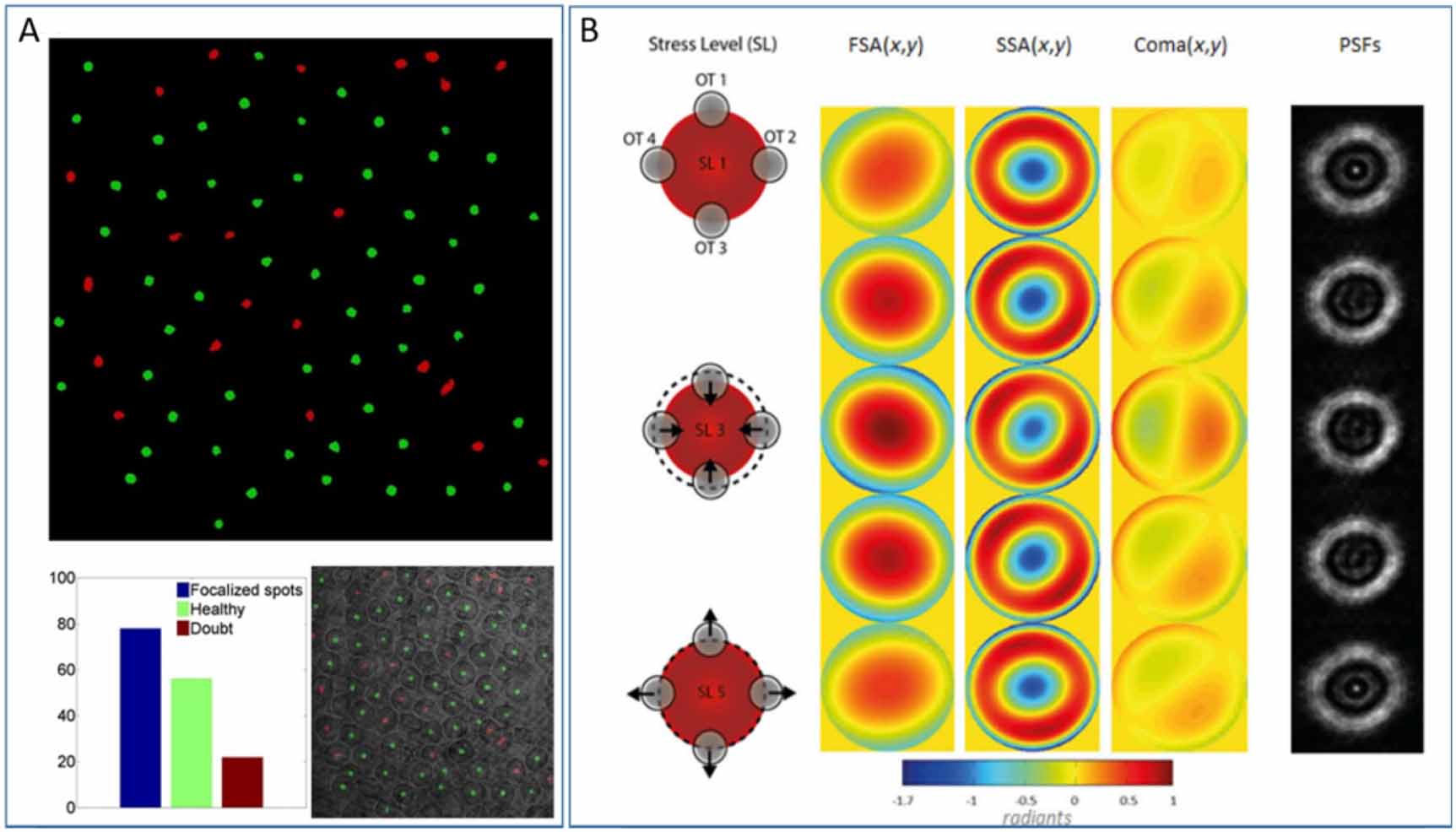Optics Biophys Optobiology: live cells in optics and photonics - IOPscience