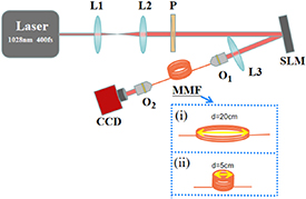 High-fidelity imaging through multimode fibers via deep learning ...