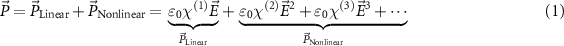 Equation (1)