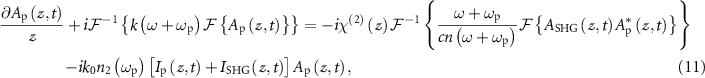 Equation (11)