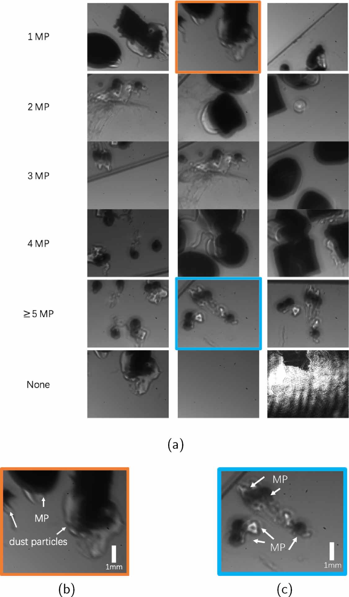 Microplastic pollution monitoring with holographic classification and ...