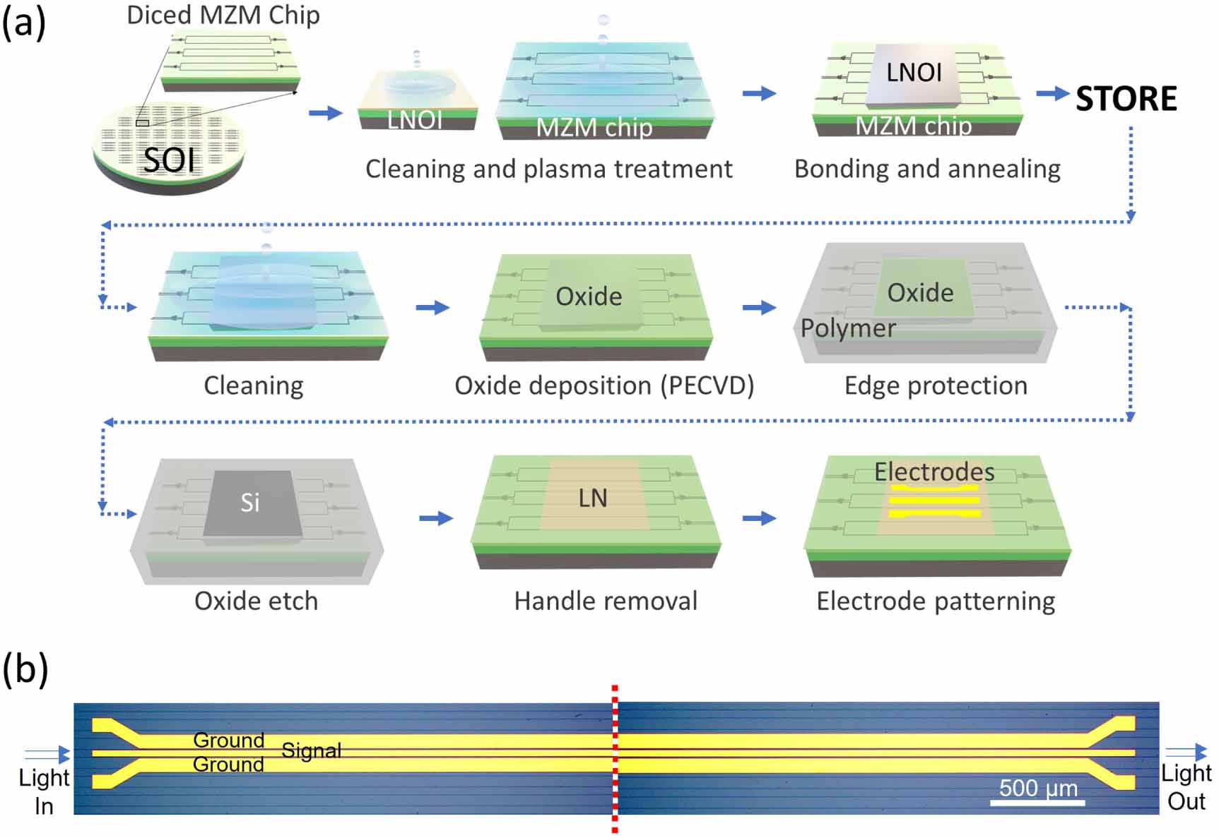 A modular fabrication process for thin-film lithium niobate modulators ...