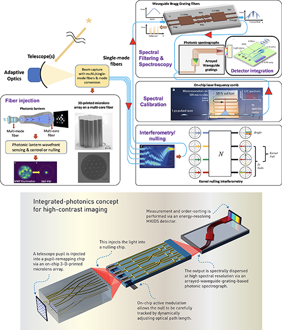 Figure 2. Refer to the following caption and surrounding text.