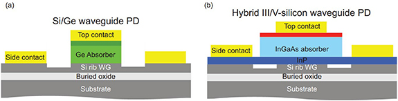 Figure 45. Refer to the following caption and surrounding text.