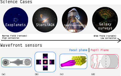 Figure 4. Refer to the following caption and surrounding text.
