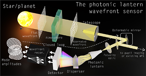 Figure 5. Refer to the following caption and surrounding text.