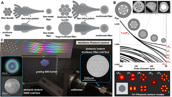 Figure 6. Refer to the following caption and surrounding text.