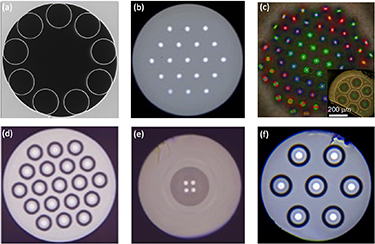 Figure 8. Refer to the following caption and surrounding text.