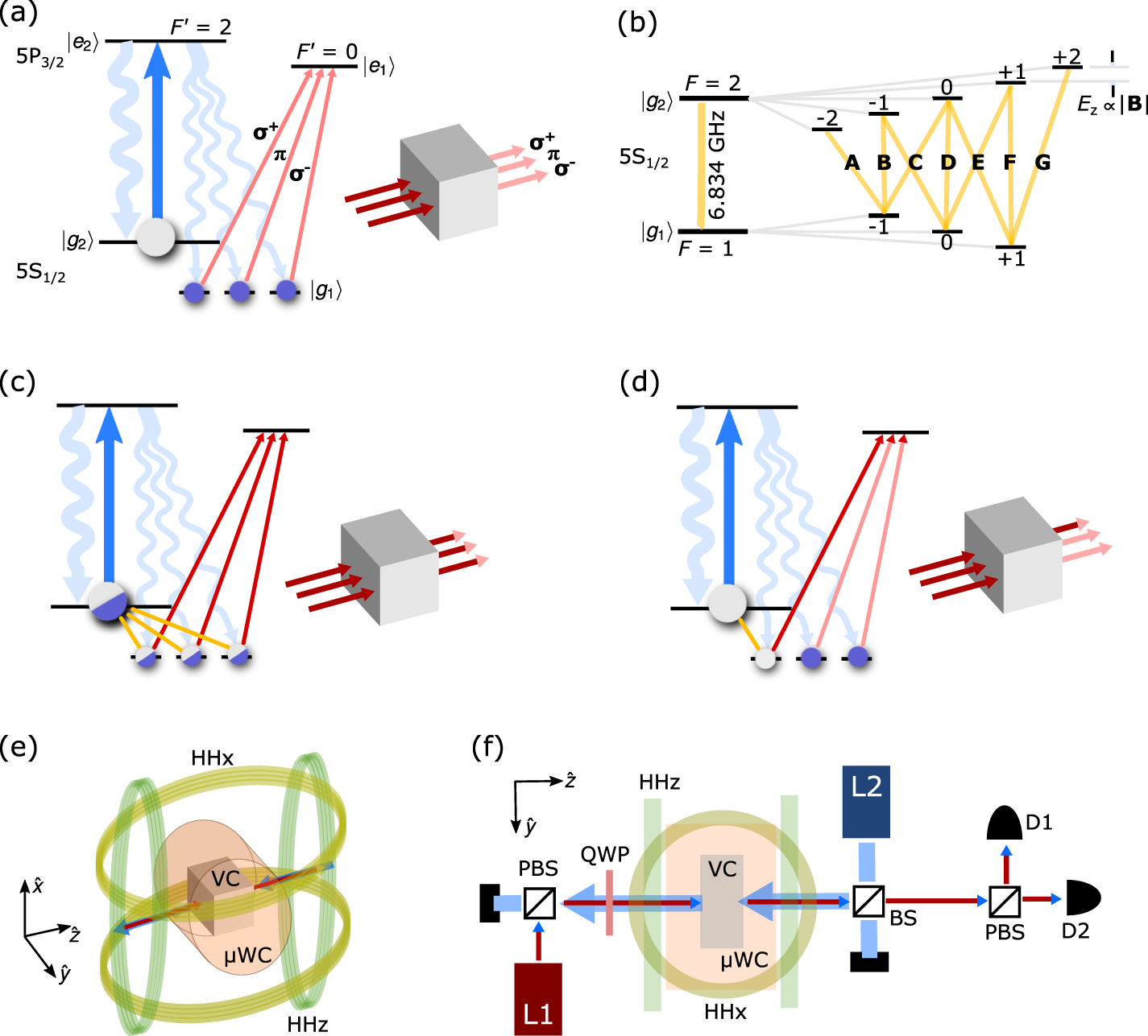 Manipulating optical absorption and polarization using microwave