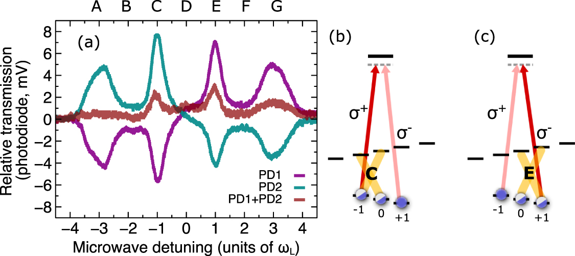 Manipulating optical absorption and polarization using microwave ...