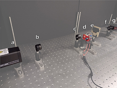Smitter Effect Imaging through scattering media by exploiting the optical memory ...