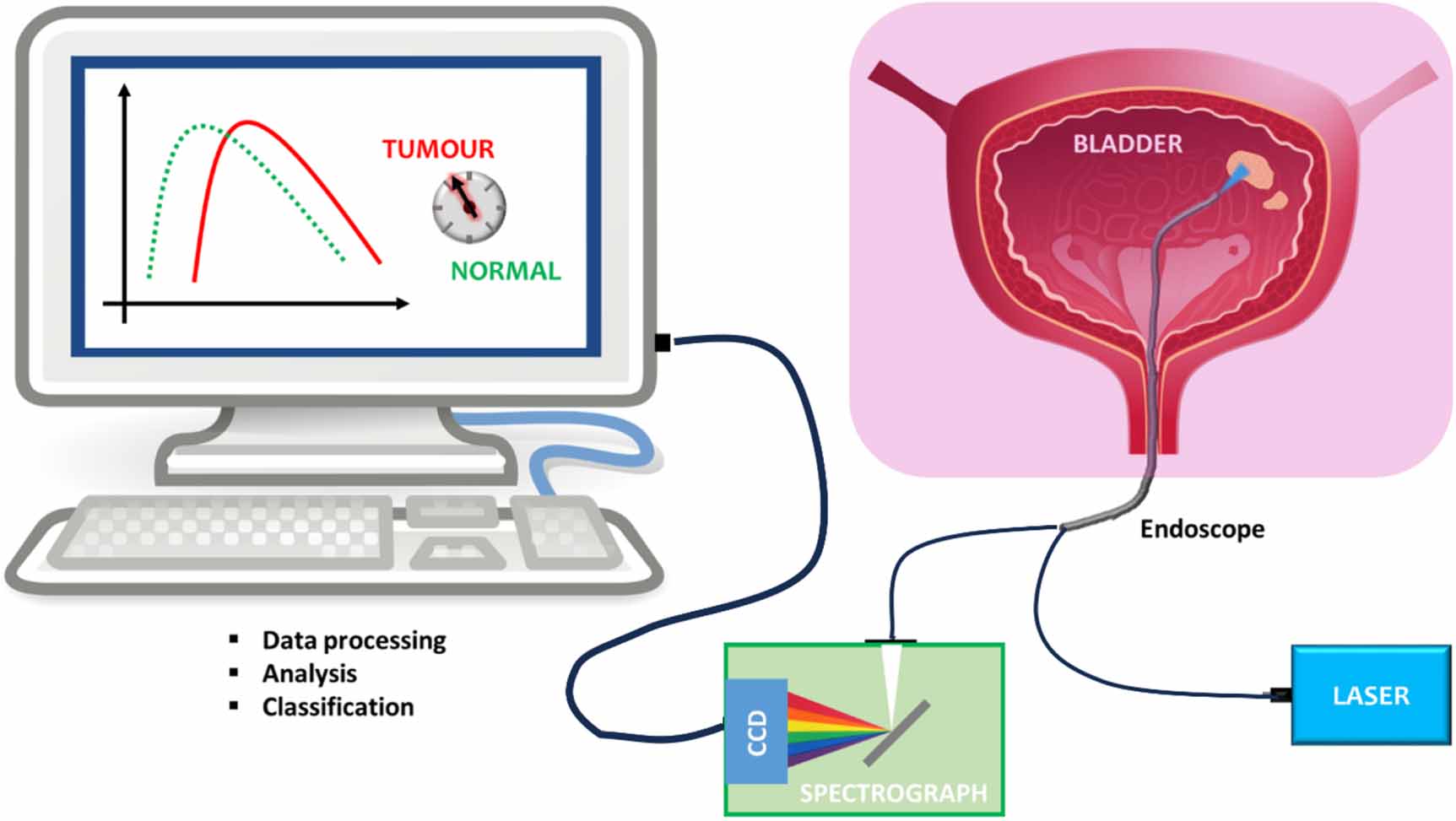 A review of label-free photonics-based techniques for cancer detection ...