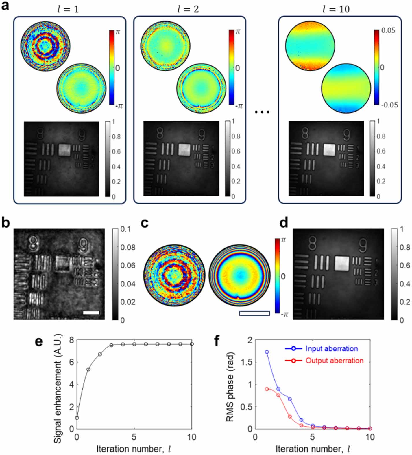 Implementation of reflection matrix microscopy: an algorithm ...