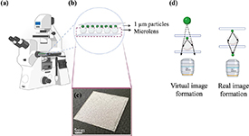 High-resolution multi-modal imaging of sub-cellular structures with low ...
