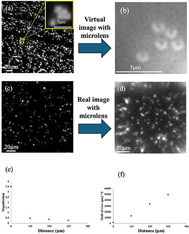 High-resolution multi-modal imaging of sub-cellular structures with low ...